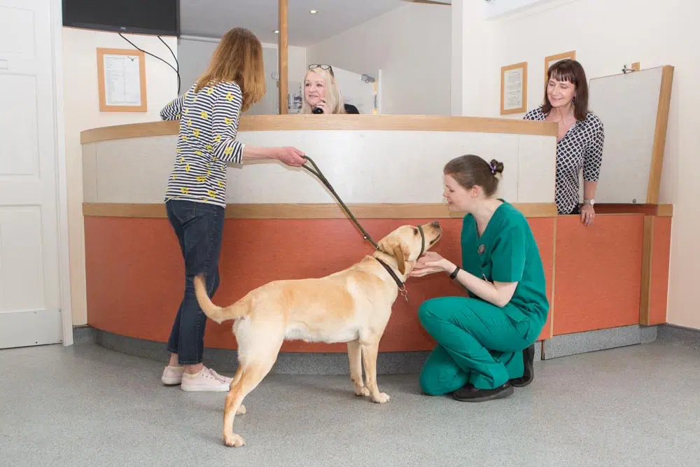 Inside Barnhouse Veterinary Surgery