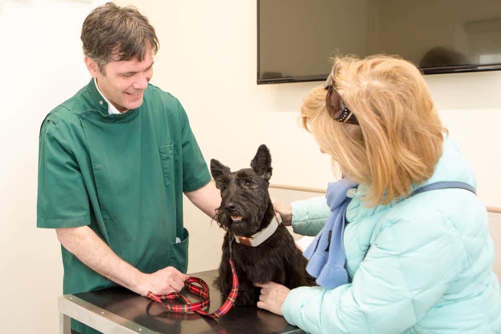 Dogs discount scheme