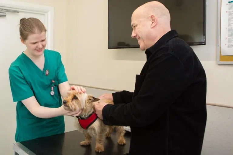 Consultation at Barnhouse Veterinary Surgery