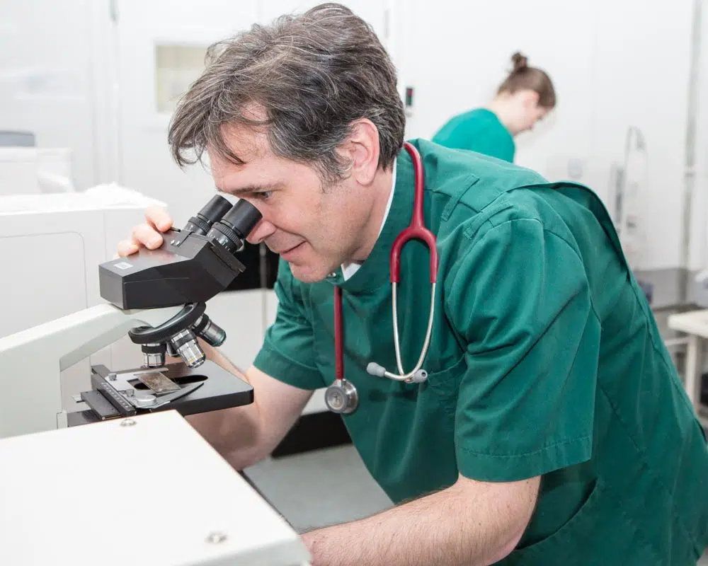 Examining a sample at Barnhouse Veterinary Surgery